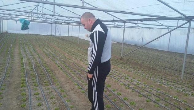 Студът удари бизнеса на зеленчукопроизводителите в Петрич и Сандански